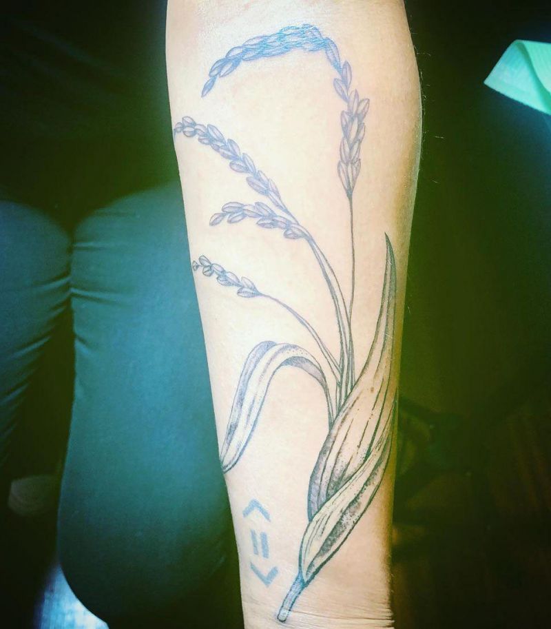 30 Pretty Rice Plant Tattoos You Will Love