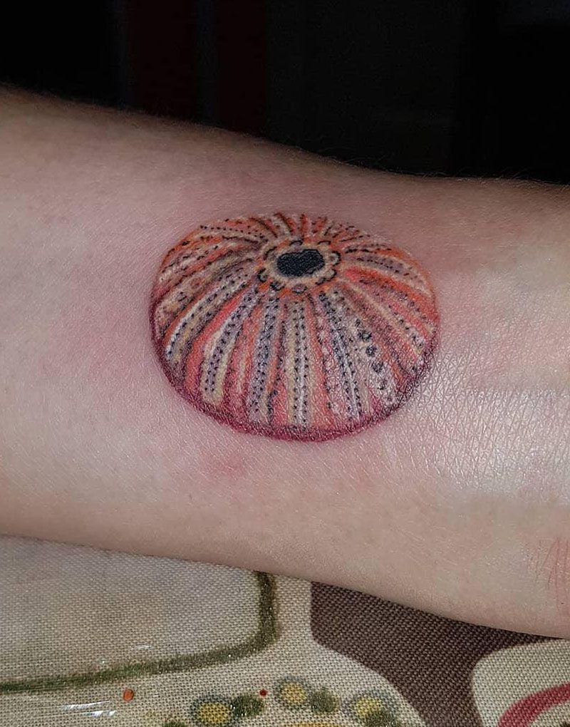 30 Pretty Sea Urchin Tattoos You Can Copy