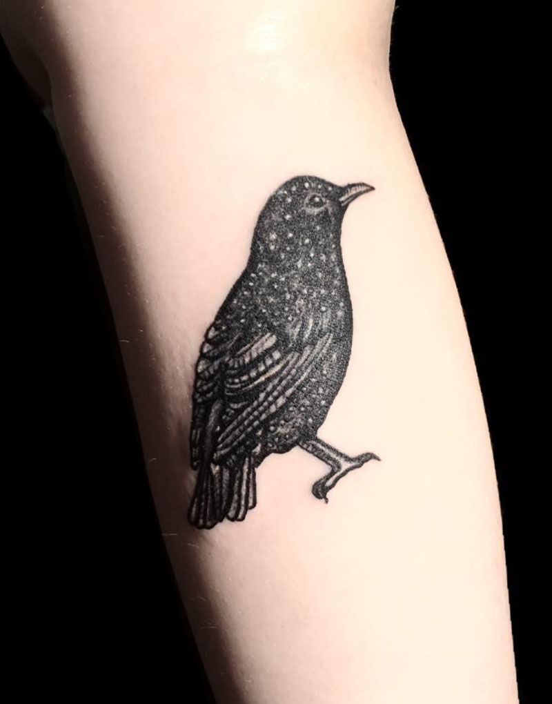 30 Pretty Starling Tattoos You Must Love