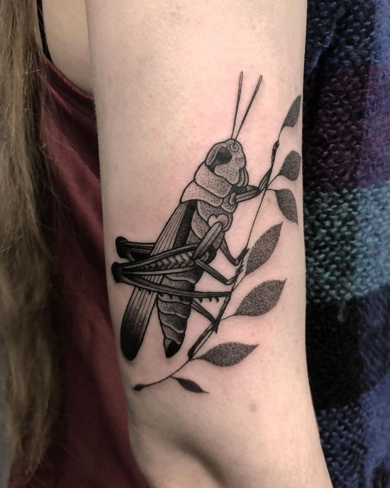 30 Gorgeous Cricket Tattoos You Must See