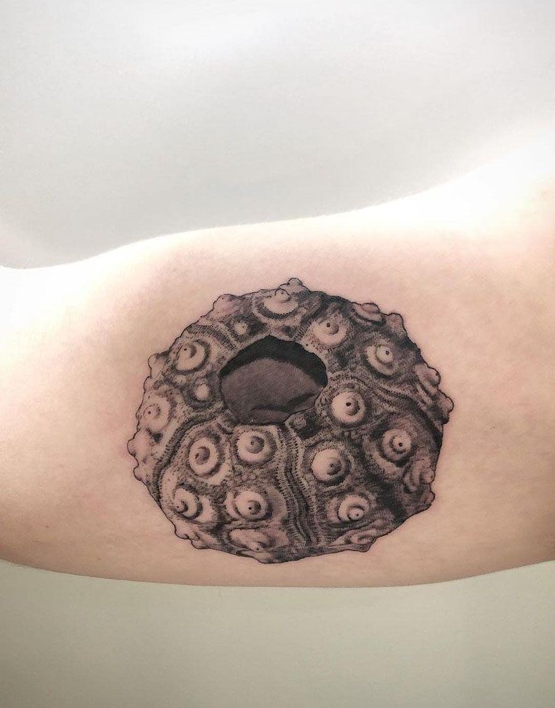 30 Pretty Sea Urchin Tattoos You Can Copy