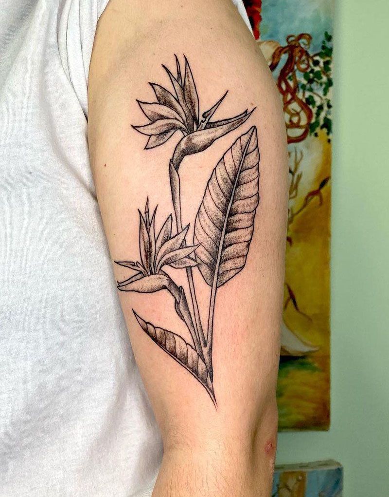 30 Pretty Bird of Paradise Tattoos You Must See