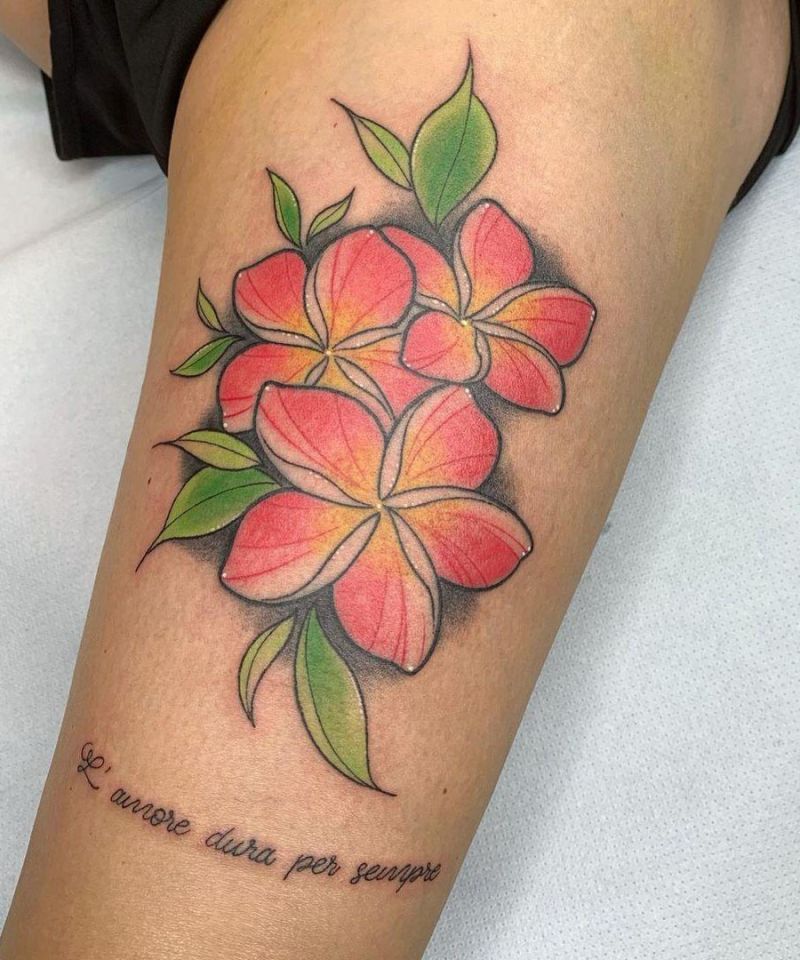 30 Amazing Plumeria Tattoos You Will Love