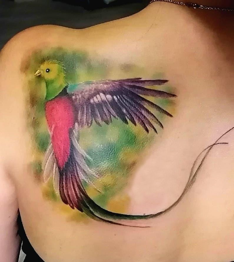 30 Pretty Quetzal Tattoos You Will Love