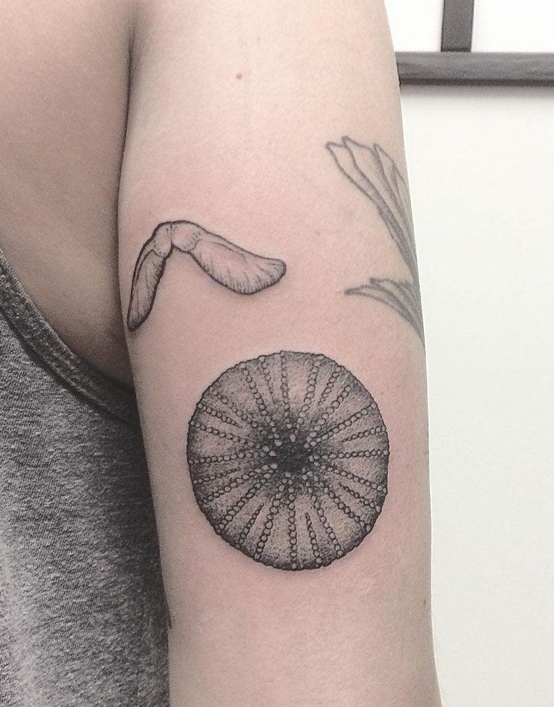 30 Pretty Sea Urchin Tattoos You Can Copy