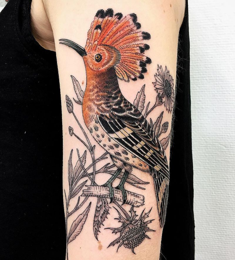 30 Pretty Hoopoe Tattoos You Must Try