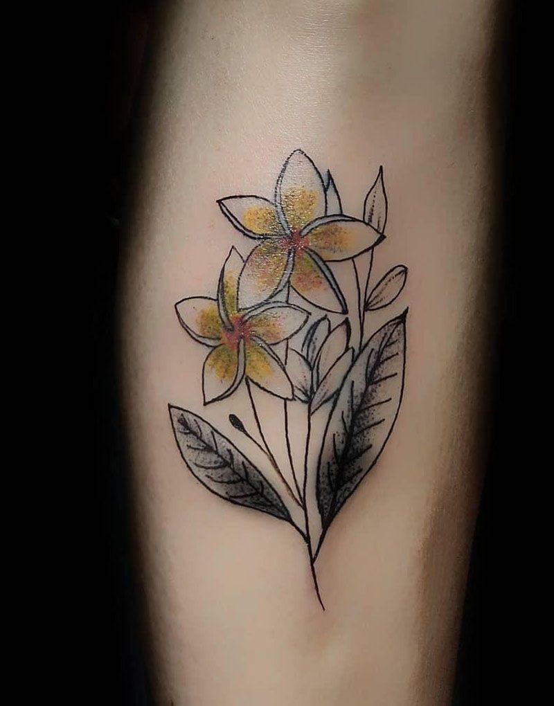 30 Amazing Plumeria Tattoos You Will Love