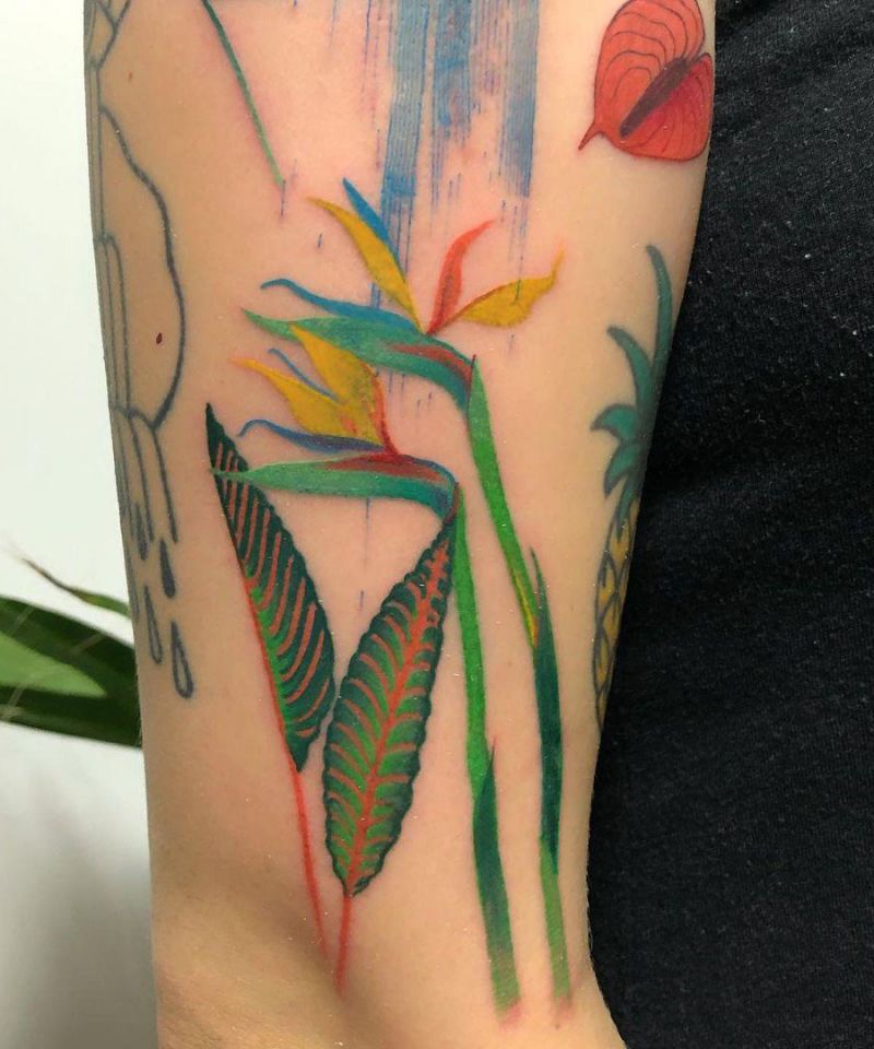 30 Pretty Bird of Paradise Tattoos You Must See