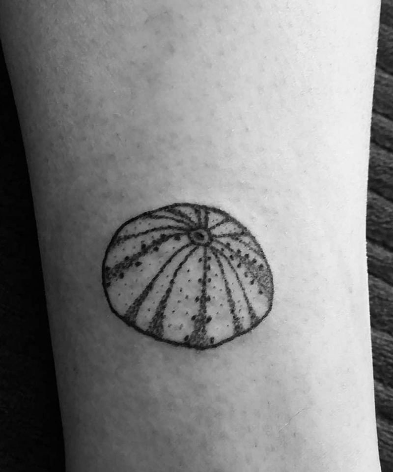 30 Pretty Sea Urchin Tattoos You Can Copy