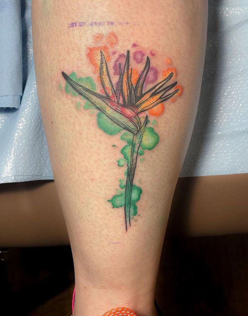 30 Pretty Bird of Paradise Tattoos You Must See