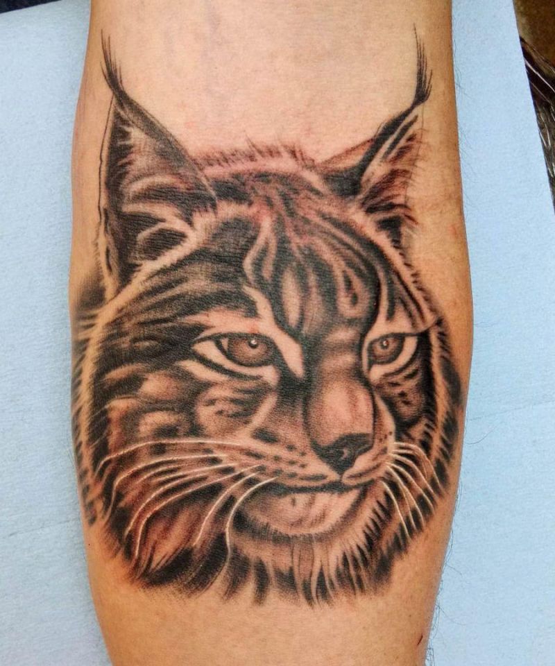 30 Gorgeous Bobcat Tattoos for Your Inspiration