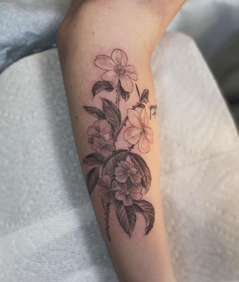 30 Pretty Cherokee Rose Tattoos You Will Love