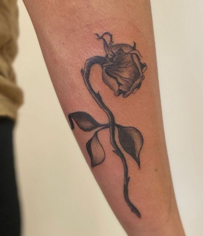 30 Unique Dead Rose Tattoos You Must Love