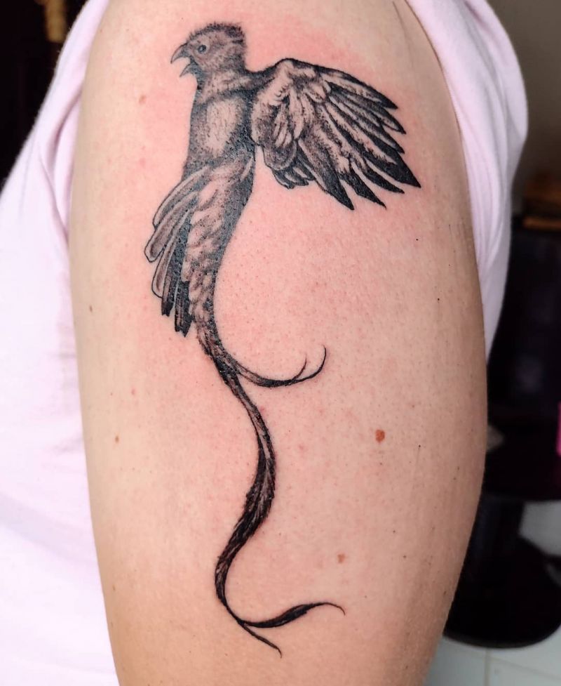 30 Pretty Quetzal Tattoos You Will Love