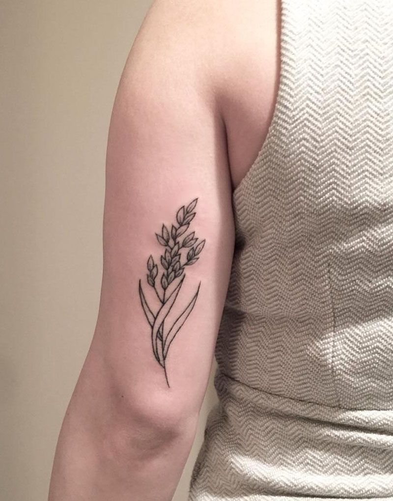 30 Pretty Rice Plant Tattoos You Will Love