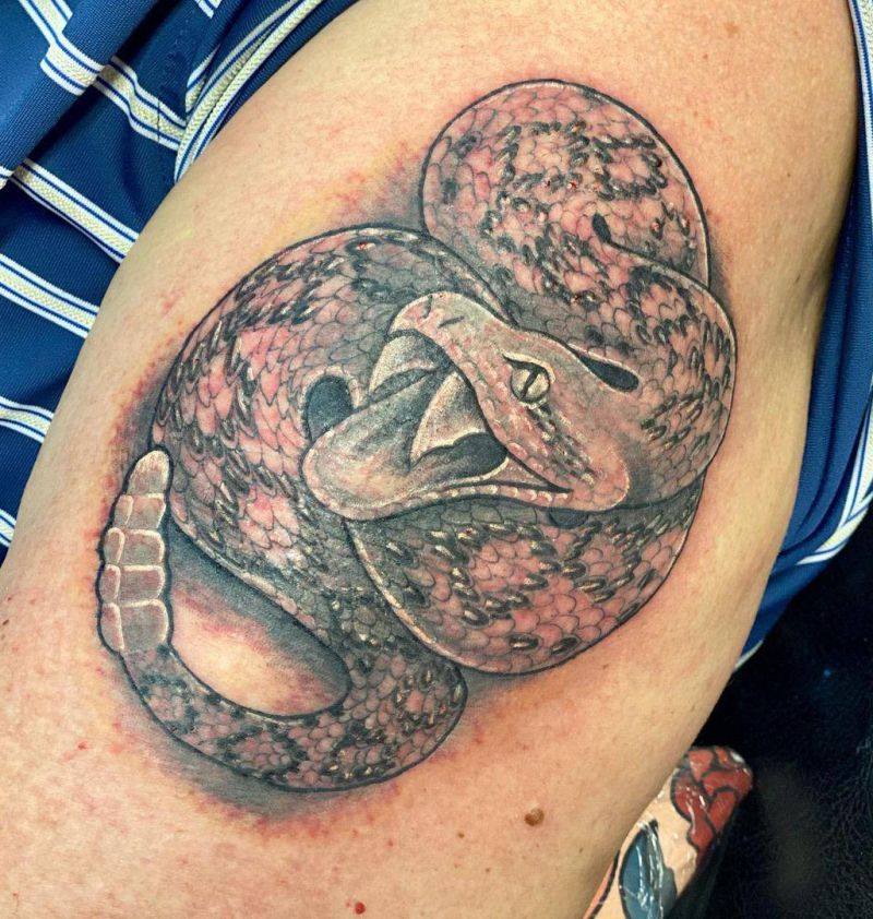 30 Pretty Rattlesnake Tattoos You Can Copy