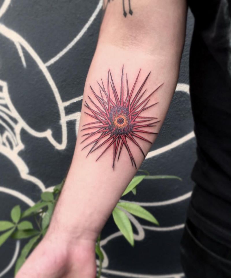 30 Pretty Sea Urchin Tattoos You Can Copy