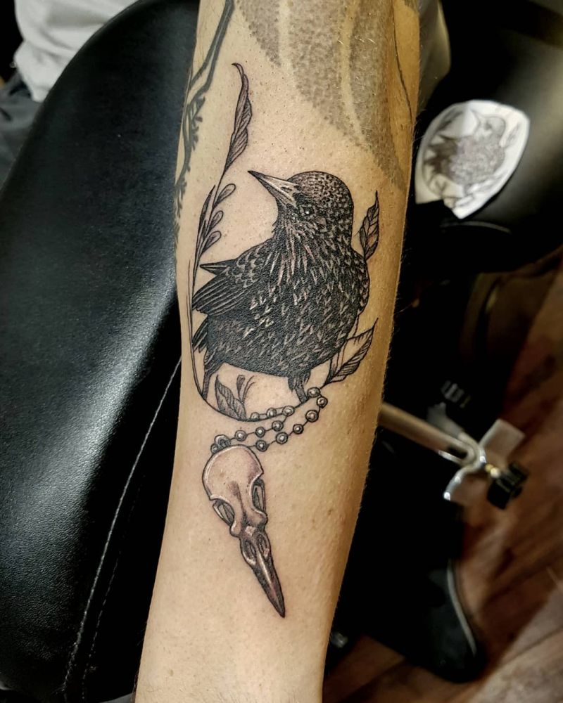 30 Pretty Starling Tattoos You Must Love