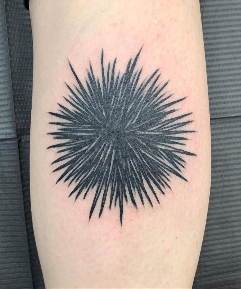 30 Pretty Sea Urchin Tattoos You Can Copy