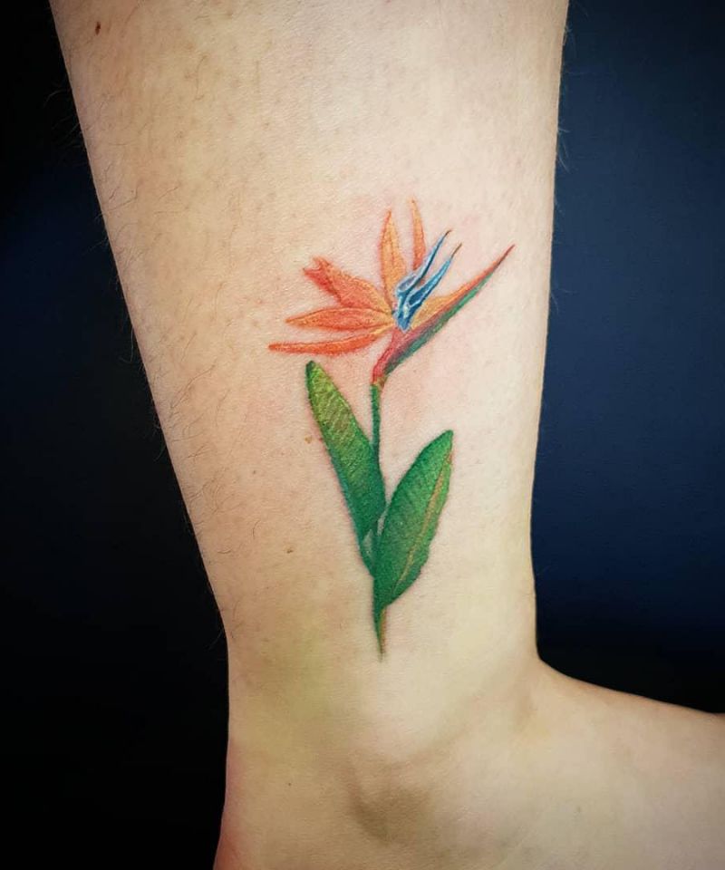 30 Pretty Bird of Paradise Tattoos You Must See