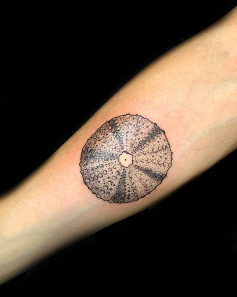 30 Pretty Sea Urchin Tattoos You Can Copy