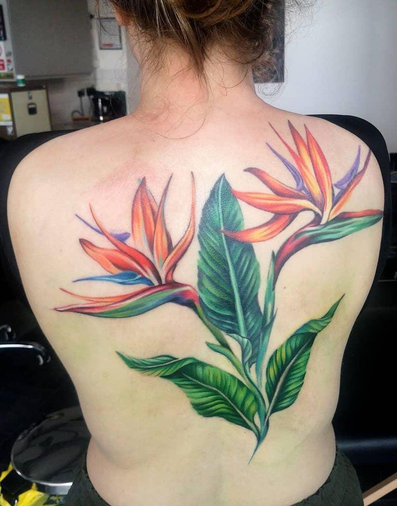 30 Pretty Bird of Paradise Tattoos You Must See