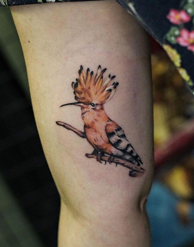 30 Pretty Hoopoe Tattoos You Must Try