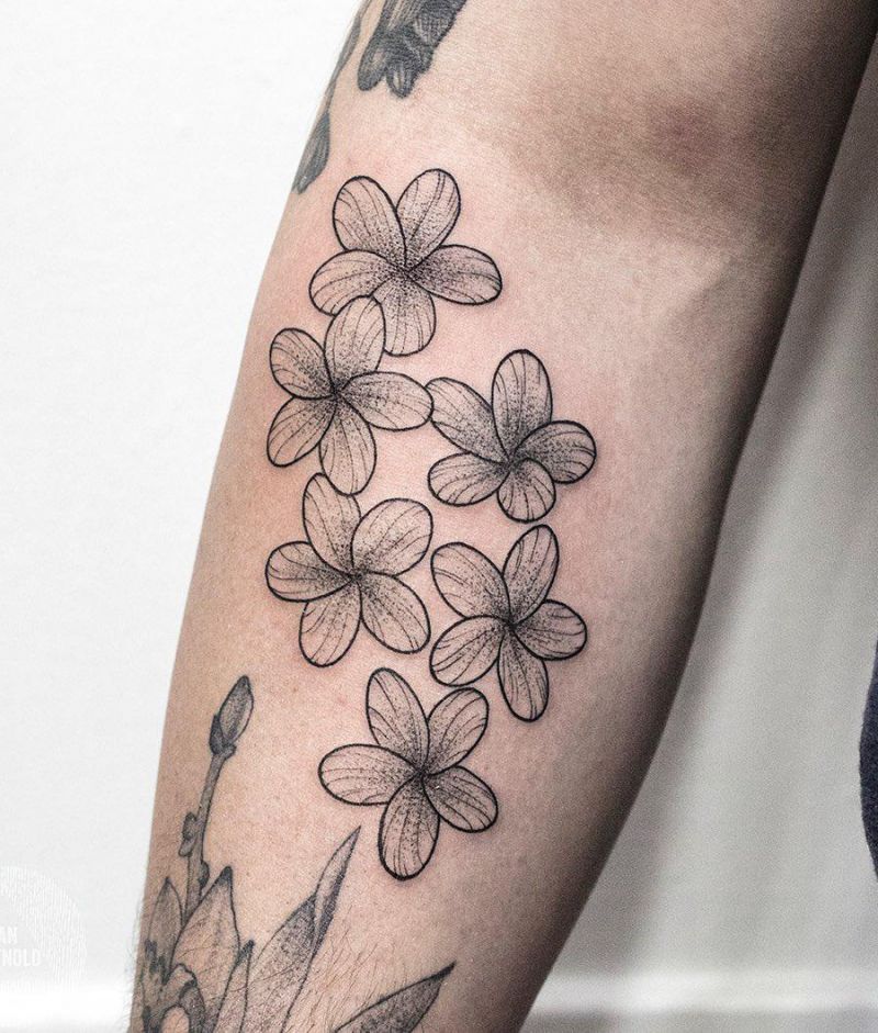 30 Amazing Plumeria Tattoos You Will Love