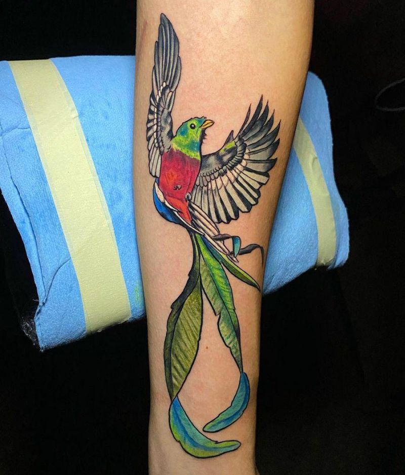 30 Pretty Quetzal Tattoos You Will Love