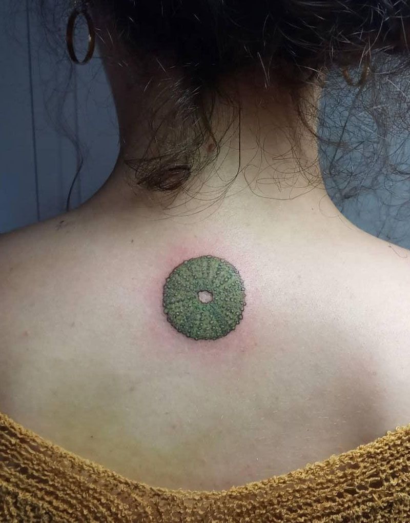 30 Pretty Sea Urchin Tattoos You Can Copy