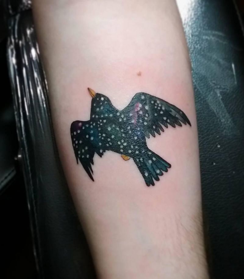 30 Pretty Starling Tattoos You Must Love