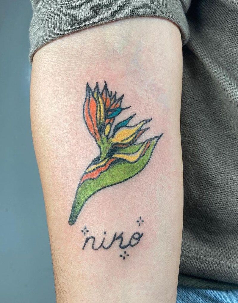 30 Pretty Bird of Paradise Tattoos You Must See