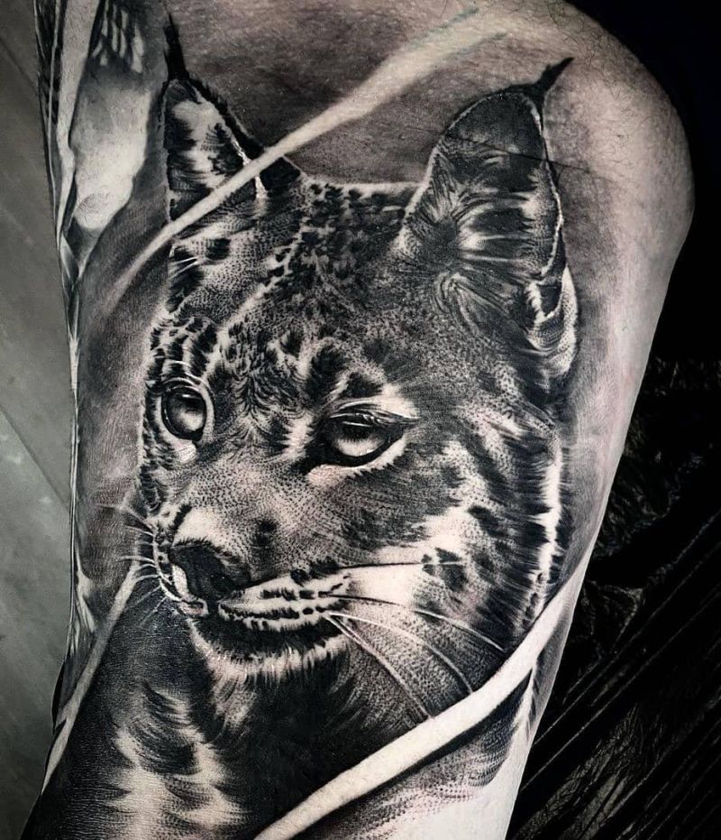 30 Gorgeous Bobcat Tattoos for Your Inspiration