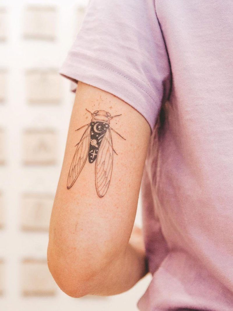 30 Gorgeous Cricket Tattoos You Must See