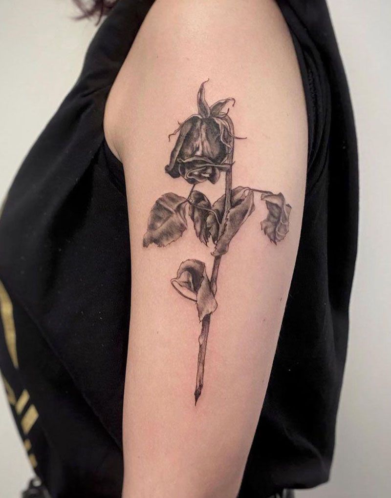 30 Unique Dead Rose Tattoos You Must Love