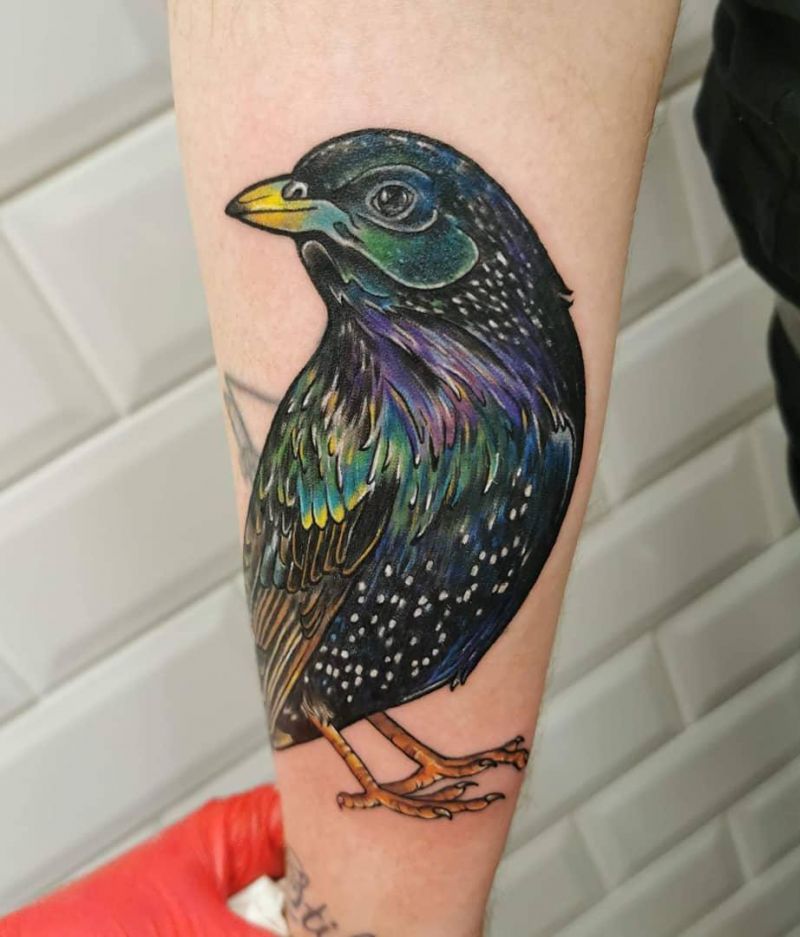 30 Pretty Starling Tattoos You Must Love