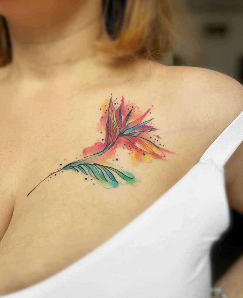 30 Pretty Bird of Paradise Tattoos You Must See