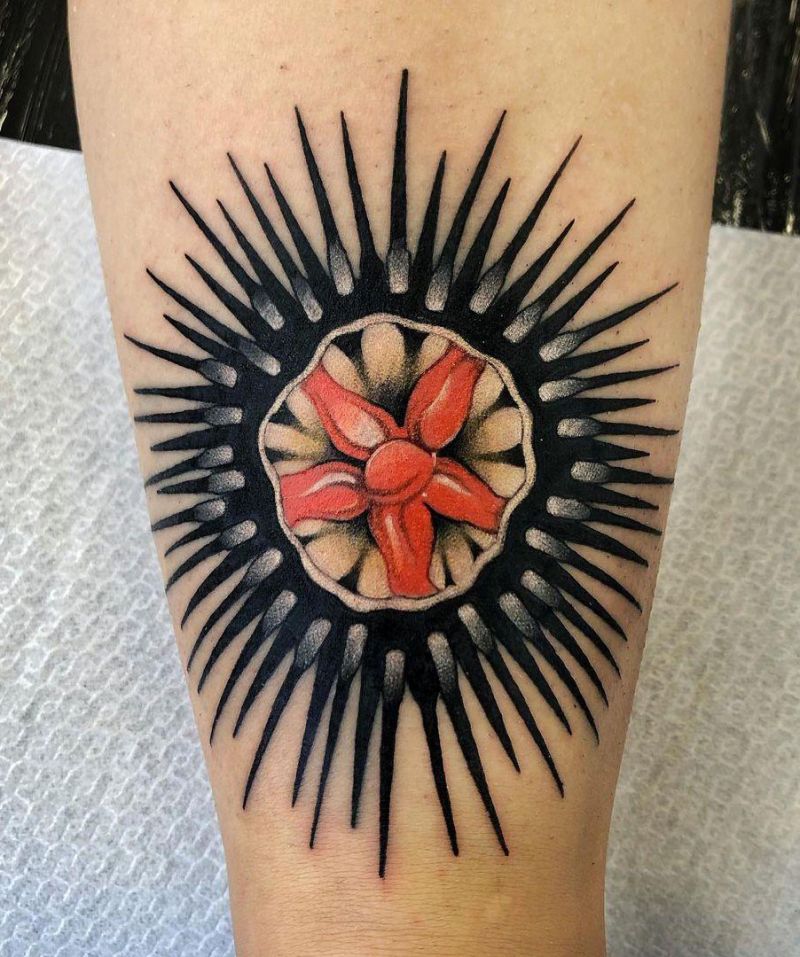 30 Pretty Sea Urchin Tattoos You Can Copy