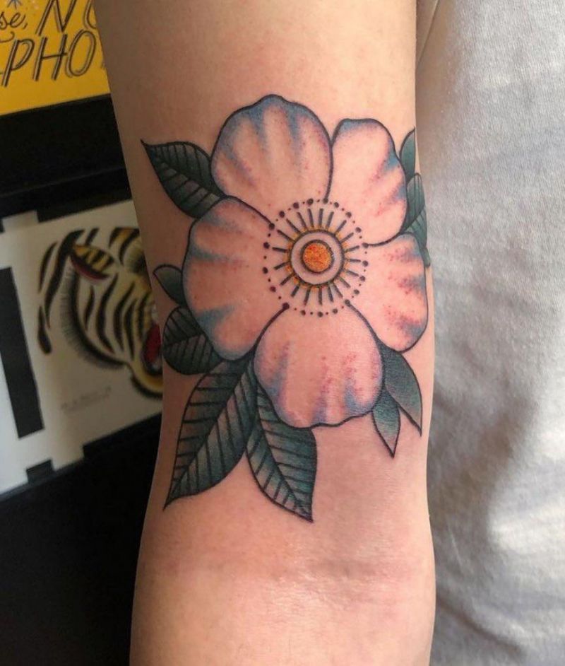 30 Pretty Cherokee Rose Tattoos You Will Love