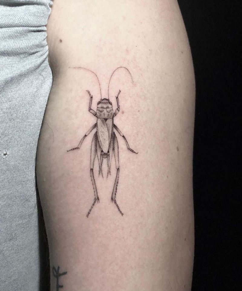 30 Gorgeous Cricket Tattoos You Must See