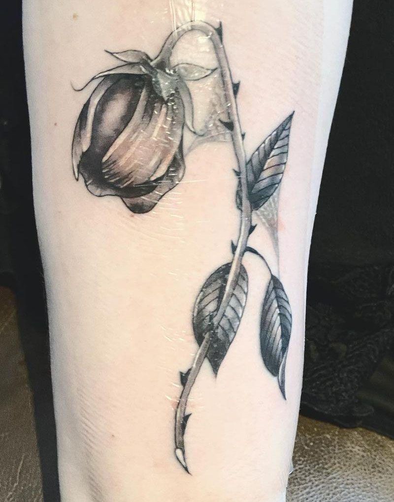 30 Unique Dead Rose Tattoos You Must Love