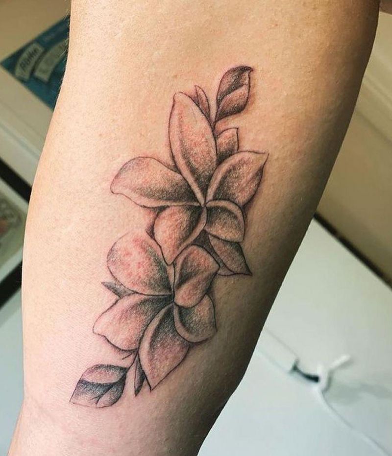 30 Amazing Plumeria Tattoos You Will Love