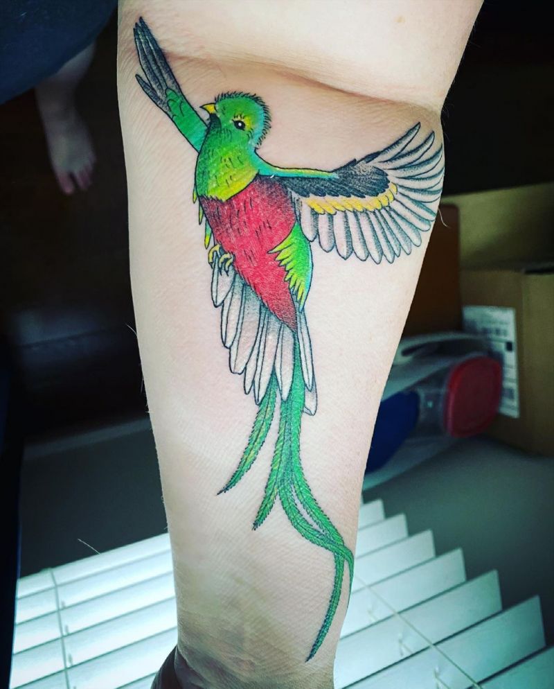 30 Pretty Quetzal Tattoos You Will Love