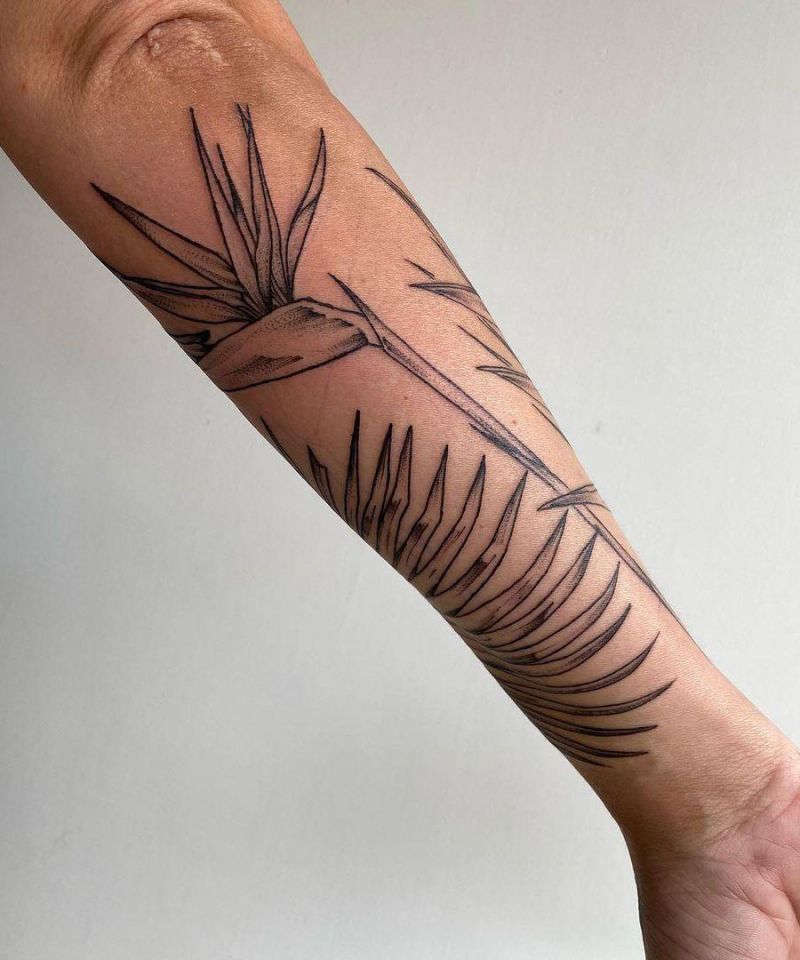 30 Pretty Bird of Paradise Tattoos You Must See