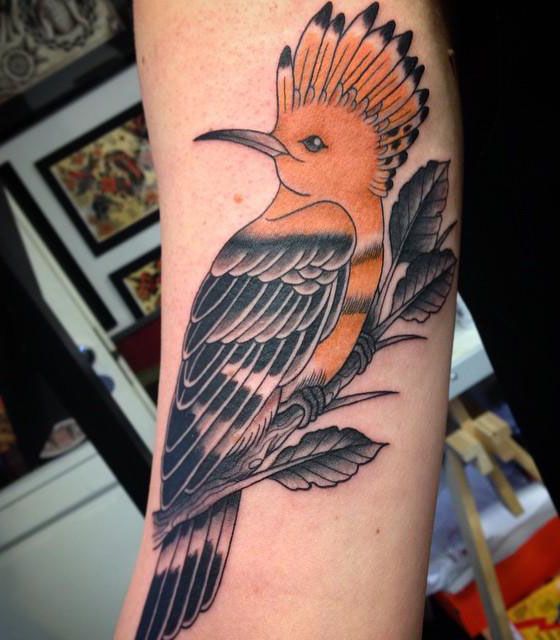 30 Pretty Hoopoe Tattoos You Must Try