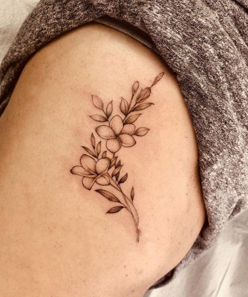 30 Amazing Plumeria Tattoos You Will Love