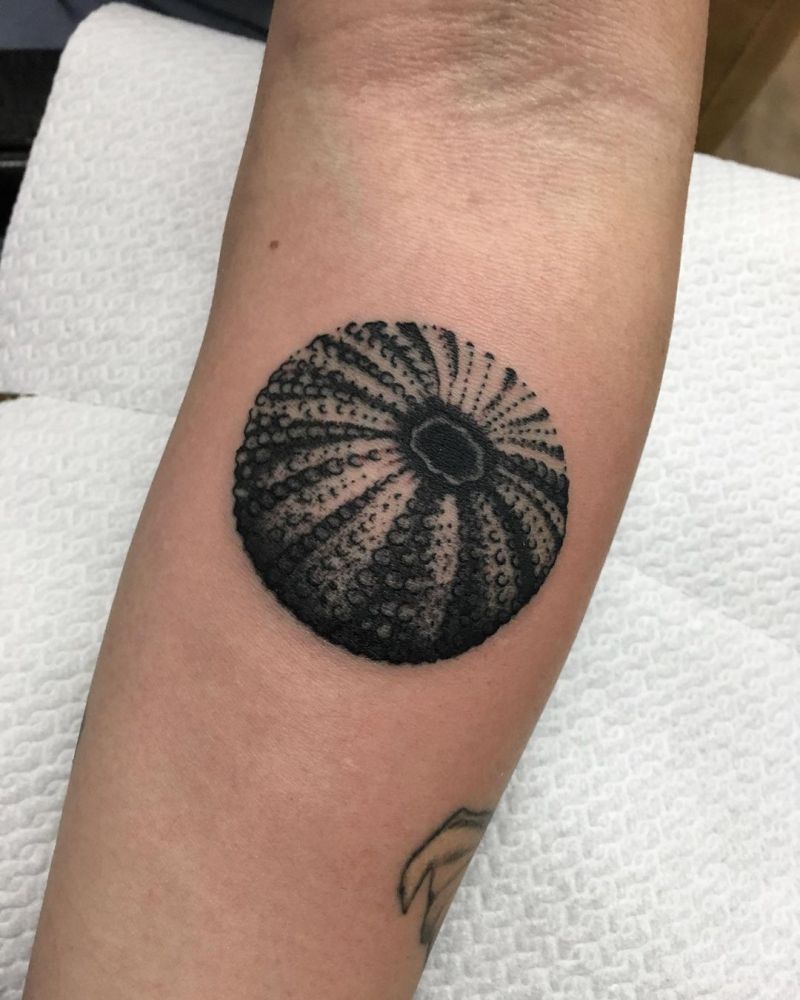 30 Pretty Sea Urchin Tattoos You Can Copy