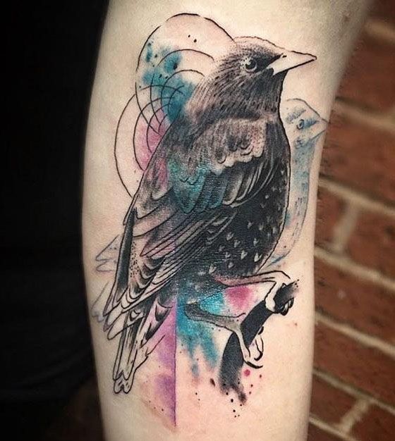 30 Pretty Starling Tattoos You Must Love
