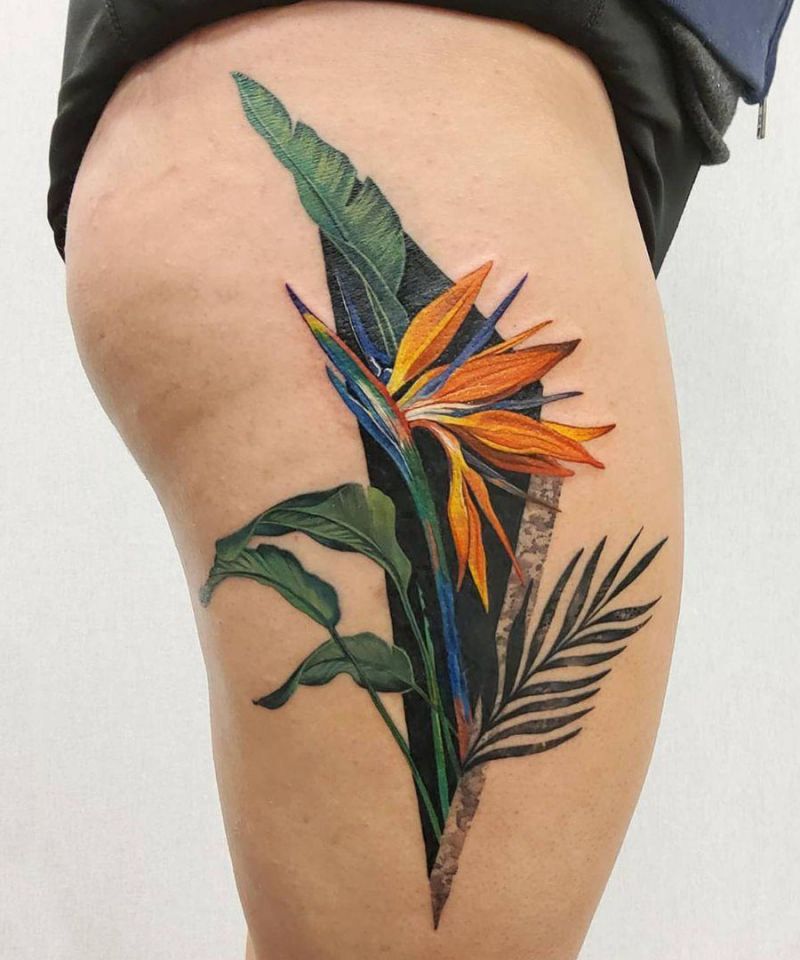 30 Pretty Bird of Paradise Tattoos You Must See