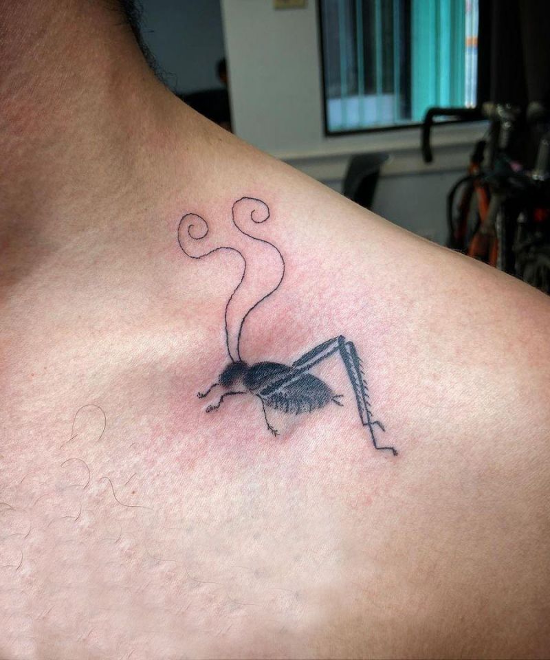 30 Gorgeous Cricket Tattoos You Must See